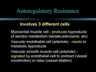 Autoregulatory Resistance
Myocardial muscle cell - produces byproducts
of aerobic metabolism (lactate,adenosine, etc)
Vascular endothelial cell (arteriole) - reacts to
metabolic byproducts
Vascular smooth muscle cell (arteriole) -
signaled by endothelial cell to contract (vessel
constriction) or relax (vessel dilation)
Involves 3 different cells
 