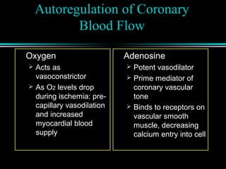 Autoregulation of Coronary
Blood Flow
Oxygen
 Acts as
vasoconstrictor
 As O2 levels drop
during ischemia: pre-
capillary vasodilation
and increased
myocardial blood
supply
Adenosine
 Potent vasodilator
 Prime mediator of
coronary vascular
tone
 Binds to receptors on
vascular smooth
muscle, decreasing
calcium entry into cell
 