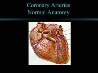 Coronary Arteries
Normal Anatomy
 