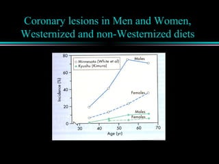 Coronary lesions in Men and Women,
Westernized and non-Westernized diets
 