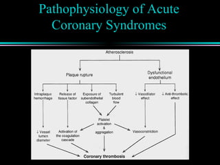 Pathophysiology of Acute
Coronary Syndromes
 