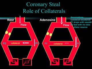 Coronary Steal
Role of Collaterals
P1 P1P2 P2
Rest Adenosine
Assumptions
Collateral resistance
P1 drops with vasodil
P2 bed with no vaso
dilator reserve
Flow Flow
collateral collateral
 