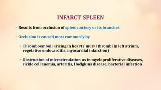 ischemia and infarction.pdf