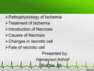 Pathophysiology of Ischemia
Treatment of Ischemia
Introduction of Necrosis
Causes of Necrosis
Changes in necrotic cell
Fate of necrotic cell
Presented by:
Hamayoun Ashraf
Roll No. 06
 