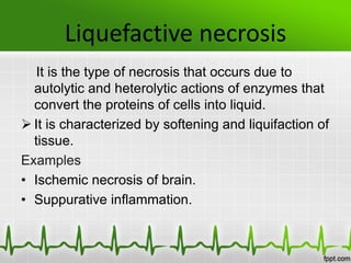 Liquefactive necrosis
It is the type of necrosis that occurs due to
autolytic and heterolytic actions of enzymes that
convert the proteins of cells into liquid.
 It is characterized by softening and liquifaction of
tissue.
Examples
• Ischemic necrosis of brain.
• Suppurative inflammation.
 