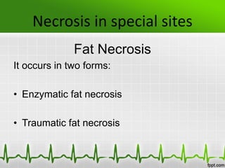 Necrosis in special sites
Fat Necrosis
It occurs in two forms:
• Enzymatic fat necrosis
• Traumatic fat necrosis
 