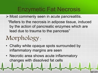 Enzymetic Fat Necrosis
 Most commenly seen in acute pancreatitis.
“Refers to the necrosis in adipose tissue, induced
by the action of pancreatic enzymes which are
lead due to trauma to the pancreas”
Morphology :
• Chalky white opaque spots surrounded by
inflammatory margins are seen
• Necrotic area shows acute inflammatory
changes with dissolved fat cells
 