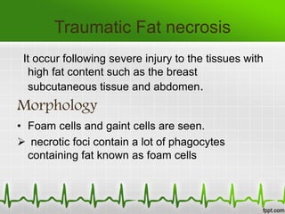 Traumatic Fat necrosis
It occur following severe injury to the tissues with
high fat content such as the breast
subcutaneous tissue and abdomen.
Morphology
• Foam cells and gaint cells are seen.
 necrotic foci contain a lot of phagocytes
containing fat known as foam cells
 