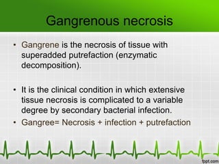 Gangrenous necrosis
• Gangrene is the necrosis of tissue with
superadded putrefaction (enzymatic
decomposition).
• It is the clinical condition in which extensive
tissue necrosis is complicated to a variable
degree by secondary bacterial infection.
• Gangree= Necrosis + infection + putrefaction
 
