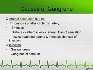 Causes of Gangrene
 Arterial obstructon due to:
• Thrombosis of atherosclerotic artery
• Embolus
• Diabetes:- atherosclerotic artery , loss of sensation
results reapeted trauma & increase chances of
infection
 Infection
• Gas gangrene
• Gangrene of scrotum
 
