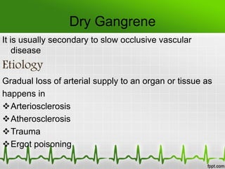 Dry Gangrene
It is usually secondary to slow occlusive vascular
disease
Etiology
Gradual loss of arterial supply to an organ or tissue as
happens in
Arteriosclerosis
Atherosclerosis
Trauma
Ergot poisoning
 