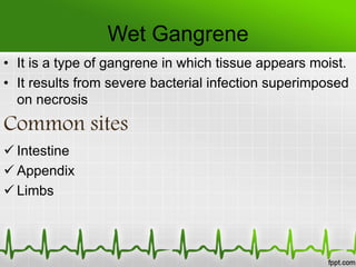 Wet Gangrene
• It is a type of gangrene in which tissue appears moist.
• It results from severe bacterial infection superimposed
on necrosis
Common sites
 Intestine
 Appendix
 Limbs
 