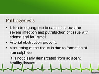 Pathogenesis
• It is a true gangrene because it shows the
severe infection and putrefaction of tissue with
edema and foul smell.
• Arterial obstruction present.
• blackening of the tissue is due to formation of
iron sulphide
It is not clearly demarcated from adjacent
healthy tissues.
 