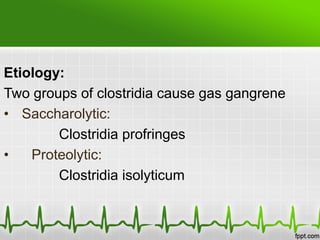 Etiology:
Two groups of clostridia cause gas gangrene
• Saccharolytic:
Clostridia profringes
• Proteolytic:
Clostridia isolyticum
 