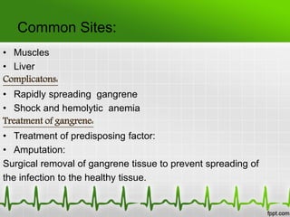 Common Sites:
• Muscles
• Liver
Complicatons:
• Rapidly spreading gangrene
• Shock and hemolytic anemia
Treatment of gangrene:
• Treatment of predisposing factor:
• Amputation:
Surgical removal of gangrene tissue to prevent spreading of
the infection to the healthy tissue.
 