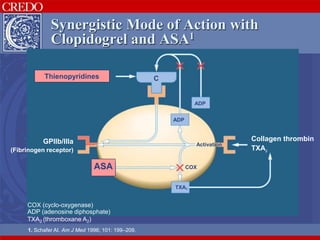 COX (cyclo-oxygenase)
ADP (adenosine diphosphate)
TXA2 (thromboxane A2)
Thienopyridines
ASA COX
ADP
ADP
C
GPllb/llla
(Fibrinogen receptor)
Collagen thrombin
TXA2
Activation
TXA2
ASA
Synergistic Mode of Action with
Clopidogrel and ASA1
1. Schafer AI. Am J Med 1996; 101: 199–209.
 