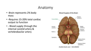 Anatomy
• -Brain represents 2% body
mass
• -Requires 15-20% total cardiac
output to function
• - Blood supply through the
internal carotid artery &
vertebrobasilar artery
 