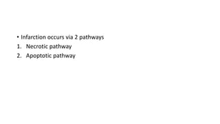 • Infarction occurs via 2 pathways
1. Necrotic pathway
2. Apoptotic pathway
 