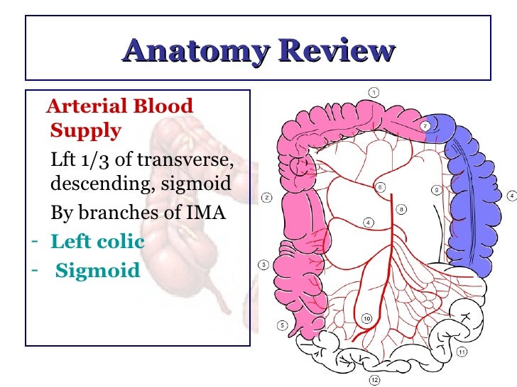 Ischemic Colitis