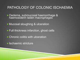PATHOLOGY OF COLONIC ISCHAEMIA
Oedema, submucosal haemorrhage &
haemosiderin laden macrophages
Mucosal sloughing & ulceration
Full thickness infarction, ghost cells
Chronic colitis with ulceration
Ischaemic stricture
 