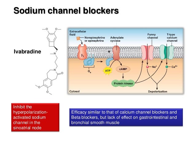 Ischemic heart disease 2012 ji li