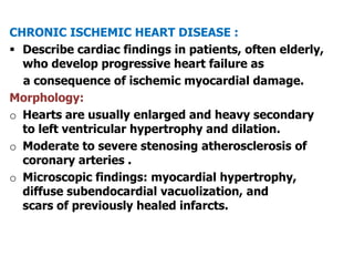 CHRONIC ISCHEMIC HEART DISEASE :
 Describe cardiac findings in patients, often elderly,
who develop progressive heart failure as
a consequence of ischemic myocardial damage.
Morphology:
o Hearts are usually enlarged and heavy secondary
to left ventricular hypertrophy and dilation.
o Moderate to severe stenosing atherosclerosis of
coronary arteries .
o Microscopic findings: myocardial hypertrophy,
diffuse subendocardial vacuolization, and
scars of previously healed infarcts.
 