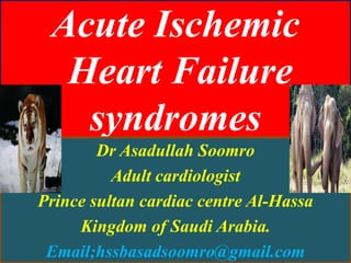 Acute Ischemic
Heart Failure
syndromes
Dr Asadullah Soomro
Adult cardiologist
Prince sultan cardiac centre Al-Hassa
Kingdom of Saudi Arabia.
Email;hssbasadsoomro@gmail.com
 