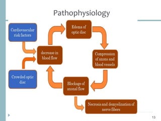 Pathophysiology
13
 