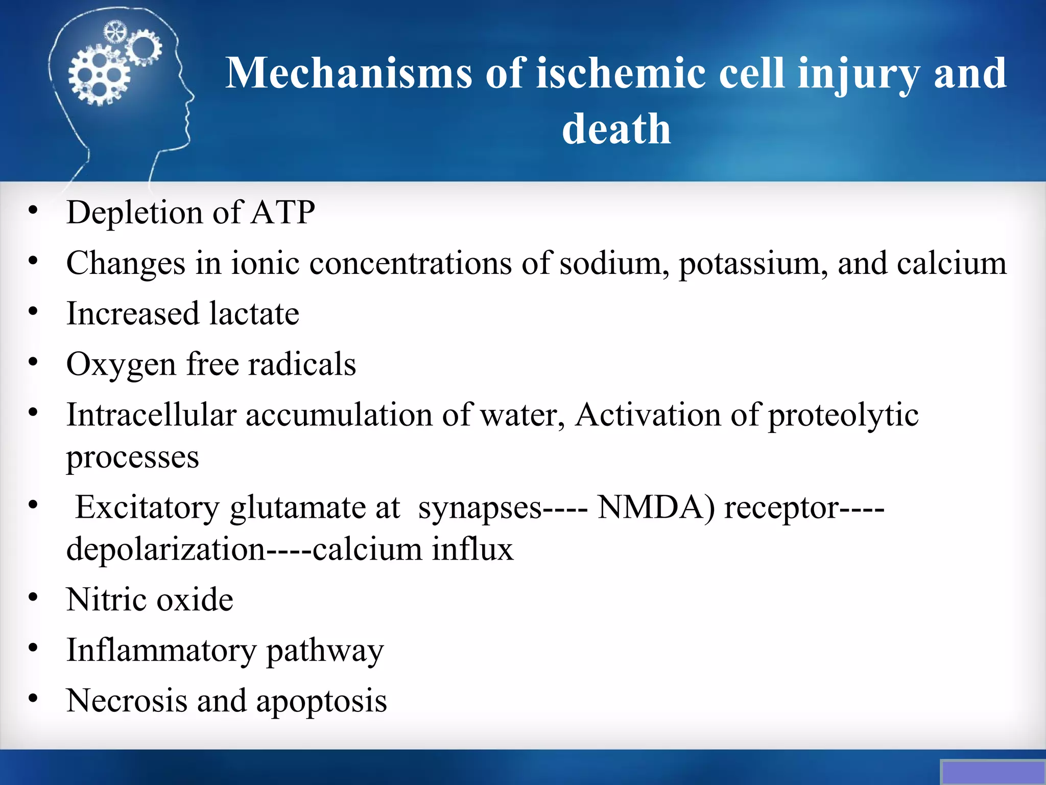 Mechanisms of ischemic cell injury and
                              death
•   Depletion of ATP
•   Changes in ionic concentrations of sodium, potassium, and calcium
•   Increased lactate
•   Oxygen free radicals
•   Intracellular accumulation of water, Activation of proteolytic
    processes
•    Excitatory glutamate at synapses---- NMDA) receptor----
    depolarization----calcium influx
•   Nitric oxide
•   Inflammatory pathway
•   Necrosis and apoptosis
 