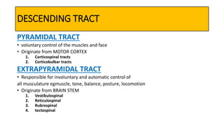 DESCENDING TRACT
PYRAMIDAL TRACT
• voluntary control of the muscles and face
• Originate from MOTOR CORTEX
1. Corticospinal tracts
2. Corticobulbar tracts
EXTRAPYRAMIDAL TRACT
• Responsible for involuntary and automatic control of
all musculature egmuscle, tone, balance, posture, locomotion
• Originate from BRAIN STEM
1. Vestibulospinal
2. Reticulospinal
3. Rubrospinal
4. tectospinal
 
