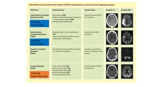 Involving
subcortical area
Involving
cortical area
Involving
cortical area
 