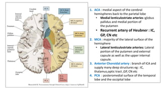 1. ACA : medial aspect of the cerebral
hemispheres back to the parietal lobe
• Medial lenticulostriate arteries :globus
pallidus and medial portion of
the putamen
• Recurrent artery of Heubner : IC,
GP, CN etc
2. MCA : majority of the lateral surface of the
hemisphere
• Lateral lenticulostriate arteries: Lateral
portion of the putamen and external
capsule as well as the upper internal
capsule.
3. Anterior Choroidal artery : branch of ICA and
supply many deep structures eg : IC,
thalamus,optic tract ,GP, CN etc
4. PCA : posteromedial surface of the temporal
lobe and the occipital lobe
 