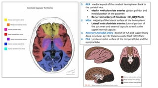 1. ACA : medial aspect of the cerebral hemispheres back to
the parietal lobe
• Medial lenticulostriate arteries :globus pallidus and
medial portion of the putamen
• Recurrent artery of Heubner : IC ,GP,CN etc
2. MCA : majority of the lateral surface of the hemisphere
• Lateral lenticulostriate arteries: Lateral portion of
the putamen and external capsule as well as the
upper internal capsule.
3. Anterior Choroidal artery : branch of ICA and supply many
deep structures eg : IC, thalamus,optic tract ,GP, CN etc
4. PCA : posteromedial surface of the temporal lobe and the
occipital lobe
 