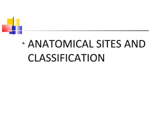 ANATOMICAL SITES AND
CLASSIFICATION
 