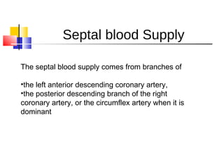 Septal blood Supply
The septal blood supply comes from branches of
•the left anterior descending coronary artery,
•the posterior descending branch of the right
coronary artery, or the circumflex artery when it is
dominant
 