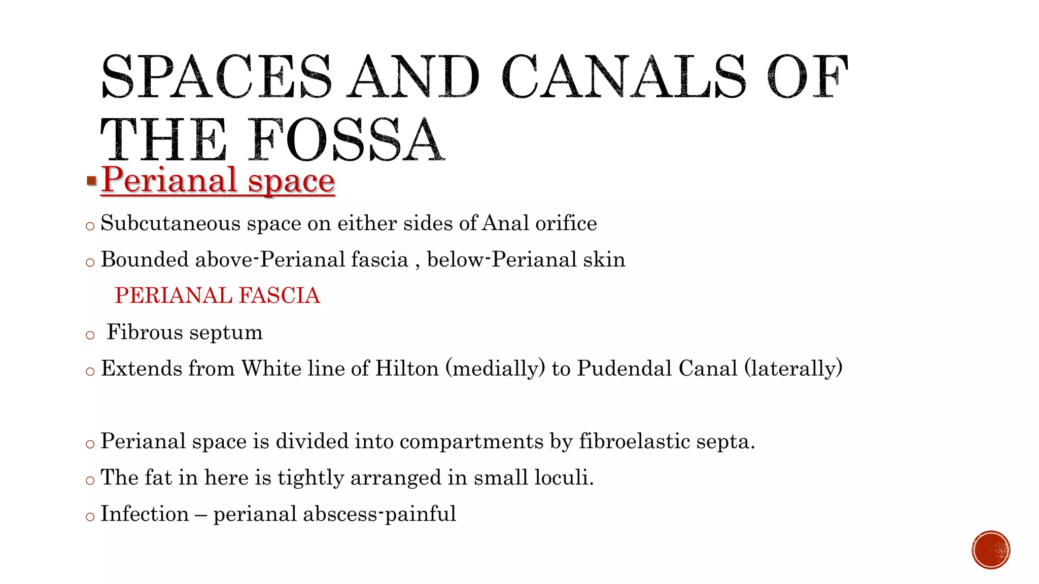 Perianal space
o Subcutaneous space on either sides of Anal orifice
o Bounded above-Perianal fascia , below-Perianal skin
PERIANAL FASCIA
o Fibrous septum
o Extends from White line of Hilton (medially) to Pudendal Canal (laterally)
o Perianal space is divided into compartments by fibroelastic septa.
o The fat in here is tightly arranged in small loculi.
o Infection – perianal abscess-painful
 