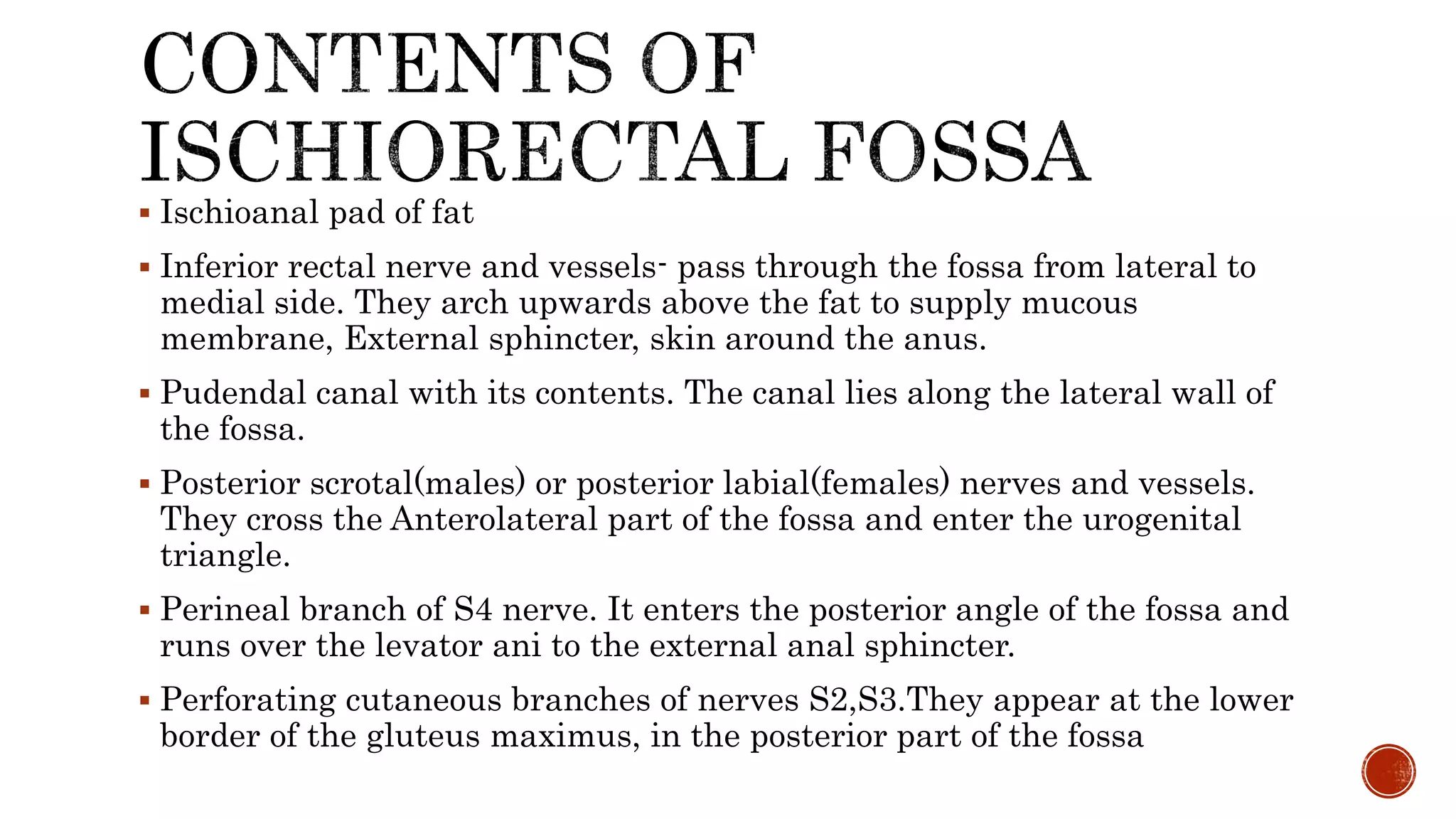  Ischioanal pad of fat
 Inferior rectal nerve and vessels- pass through the fossa from lateral to
medial side. They arch upwards above the fat to supply mucous
membrane, External sphincter, skin around the anus.
 Pudendal canal with its contents. The canal lies along the lateral wall of
the fossa.
 Posterior scrotal(males) or posterior labial(females) nerves and vessels.
They cross the Anterolateral part of the fossa and enter the urogenital
triangle.
 Perineal branch of S4 nerve. It enters the posterior angle of the fossa and
runs over the levator ani to the external anal sphincter.
 Perforating cutaneous branches of nerves S2,S3.They appear at the lower
border of the gluteus maximus, in the posterior part of the fossa
 