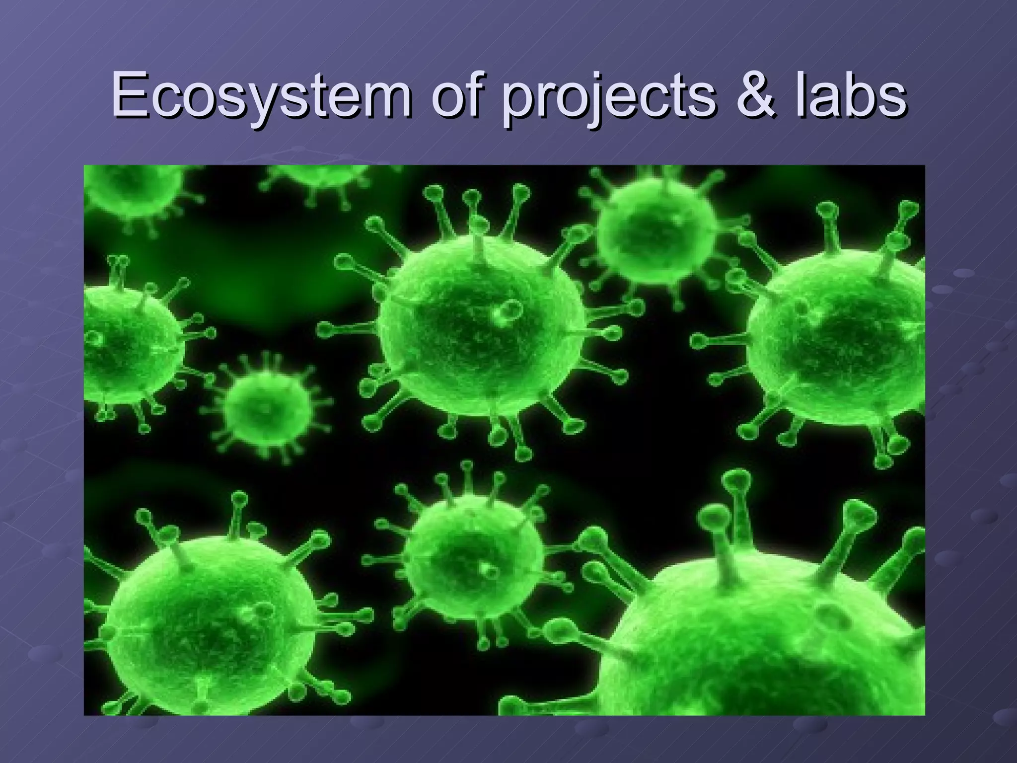 Ecosystem of projects & labs 