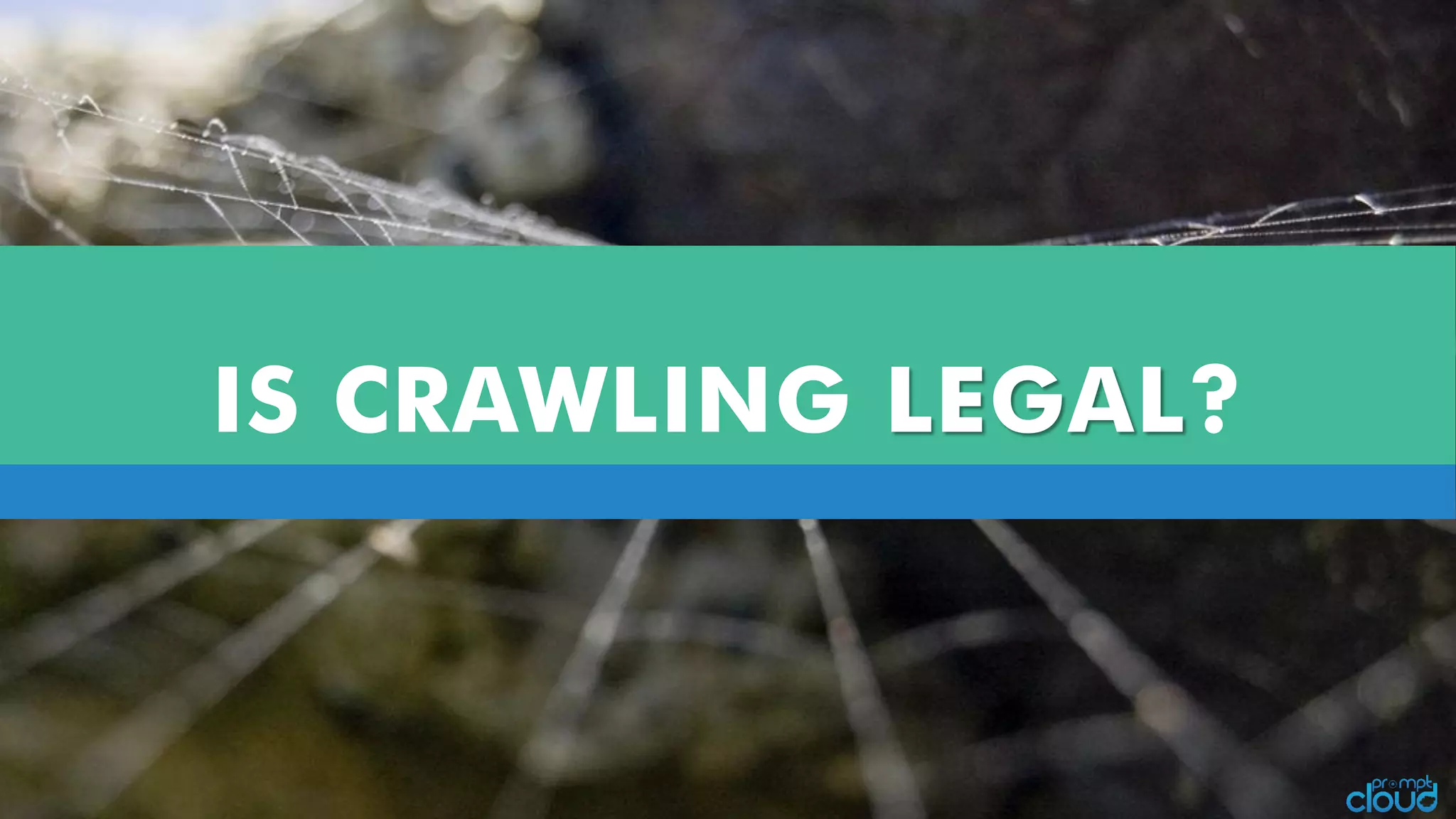IS CRAWLING LEGAL?