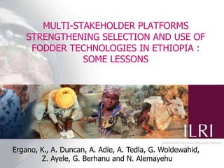 MULTI-STAKEHOLDER PLATFORMS STRENGTHENING SELECTION AND USE OF FODDER TECHNOLOGIES IN ETHIOPIA : SOME LESSONS Ergano, K., A. Duncan, A. Adie, A. Tedla, G. Woldewahid,  Z. Ayele, G. Berhanu and N. Alemayehu 