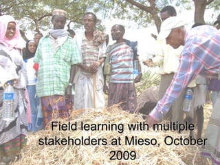 Multi-stakeholder platforms strengthening selection and use of fodder technologies in Ethiopia: some lessons