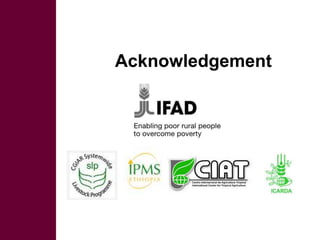 Multi-stakeholder platforms strengthening selection and use of fodder technologies in Ethiopia: some lessons