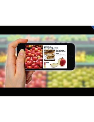 Presentation_ISDC 2014_Haig Alexander Peter_IBM