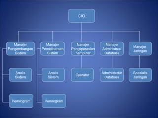 CIO Manajer  Jaringan Manajer Administrasi Database Manajer Pengoperasian Komputer Manajer Pemeliharaan Sistem Manajer Pengembangan Sistem Spesialis Jaringan Administratur Database Operator Analis Sistem Analis Sistem Pemrogram Pemrogram 