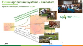 Innovation Systems for Drylands Governing Board April 2021