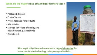 Innovation Systems for Drylands Governing Board April 2021