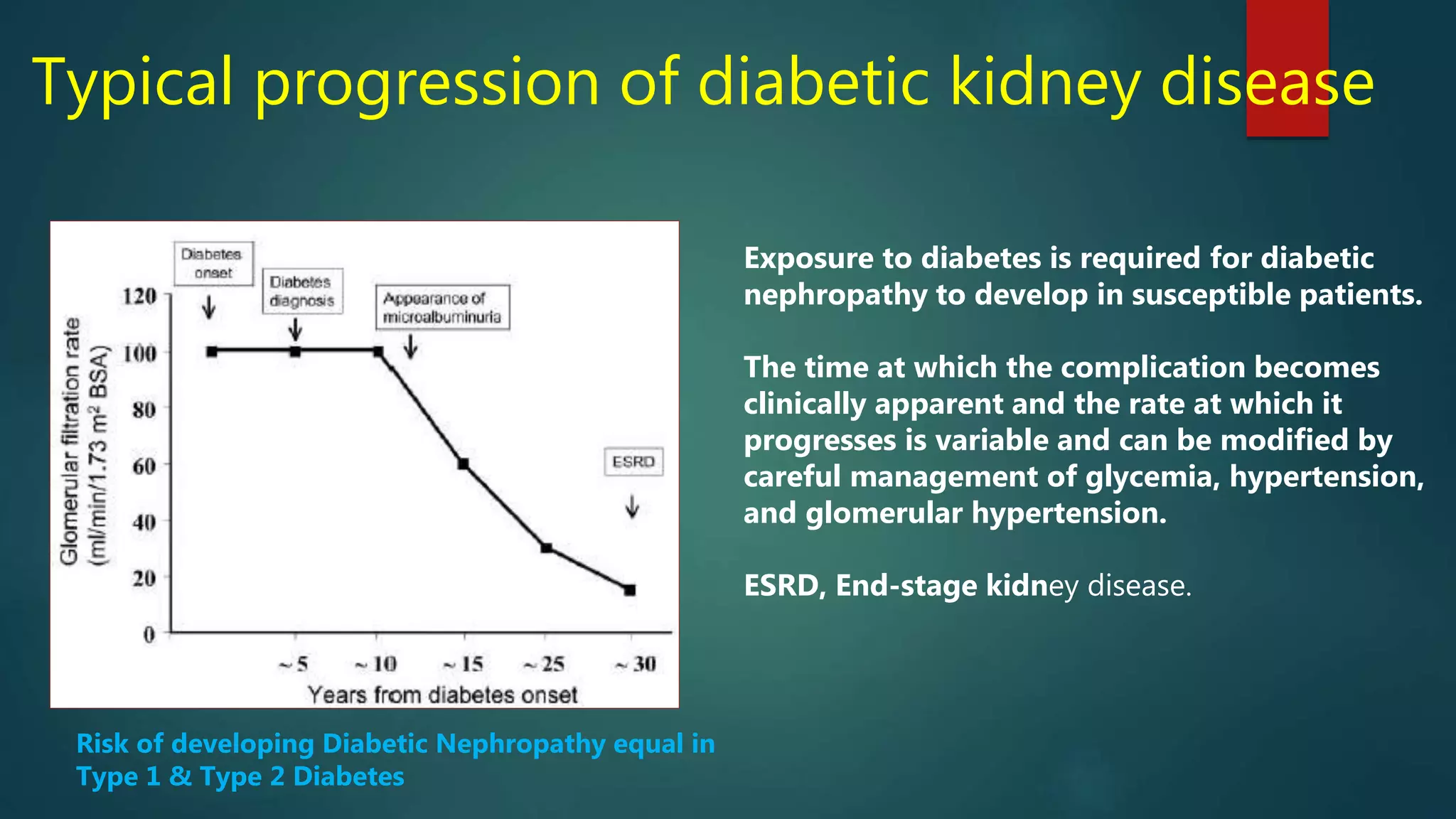 Diabetic Kidney Disease | PPTX