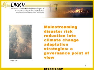 Mainstreaming
              disaster risk
              reduction into
              climate change
              adaptation
              strategies: a
              governance point of
              view
Forest Fire


                               1

              EFDRR/DKKV
 