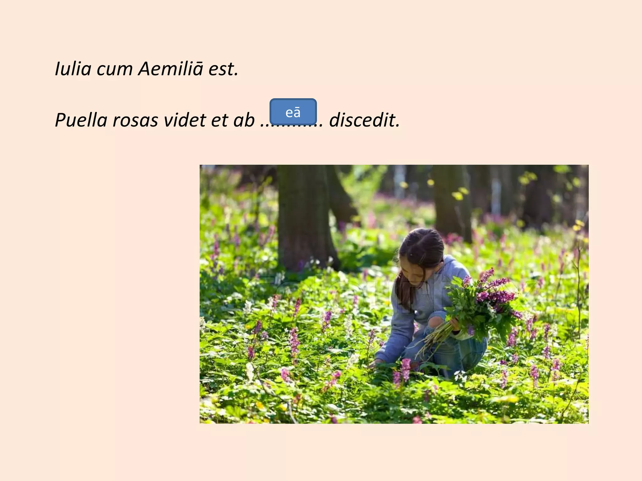 Iulia cum Aemiliā est.
Puella rosas videt et ab ............ discedit.eā
 