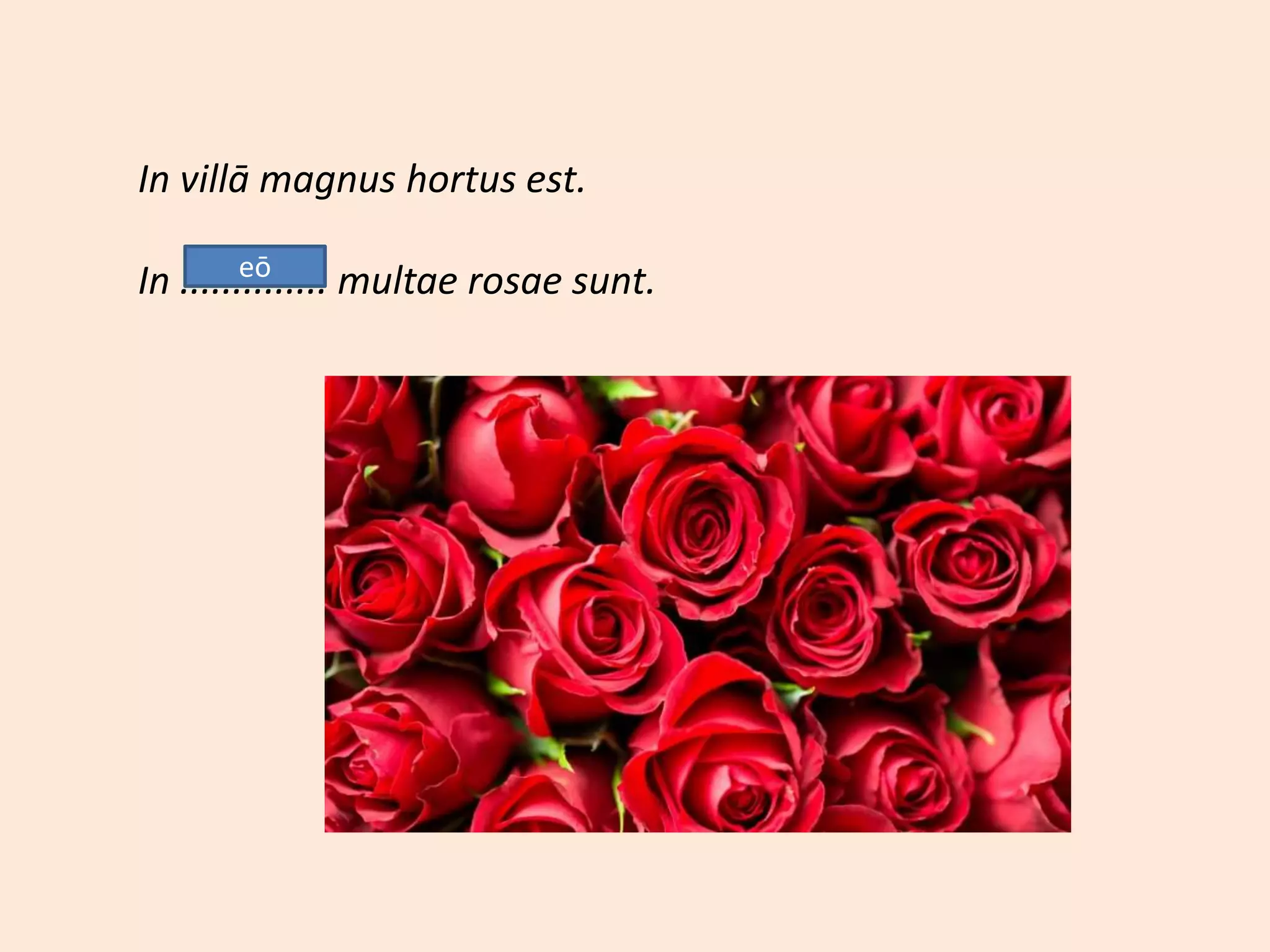 In villā magnus hortus est.
In .............. multae rosae sunt.eō
 